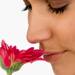 smell_flower