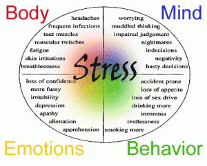 StressSymptoms