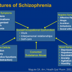 Features of Schizophrenia : One slide